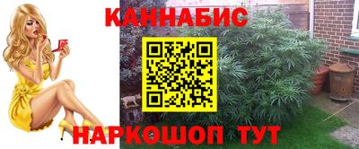 амф Кандалакша