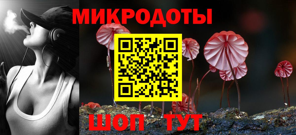 Псилоцибиновые грибы Psilocybe Красноярск